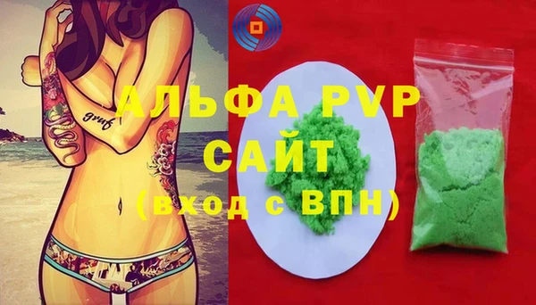 ГАЛЛЮЦИНОГЕННЫЕ ГРИБЫ Сясьстрой
