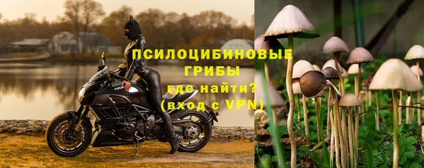 альфа пвп Гусь-Хрустальный